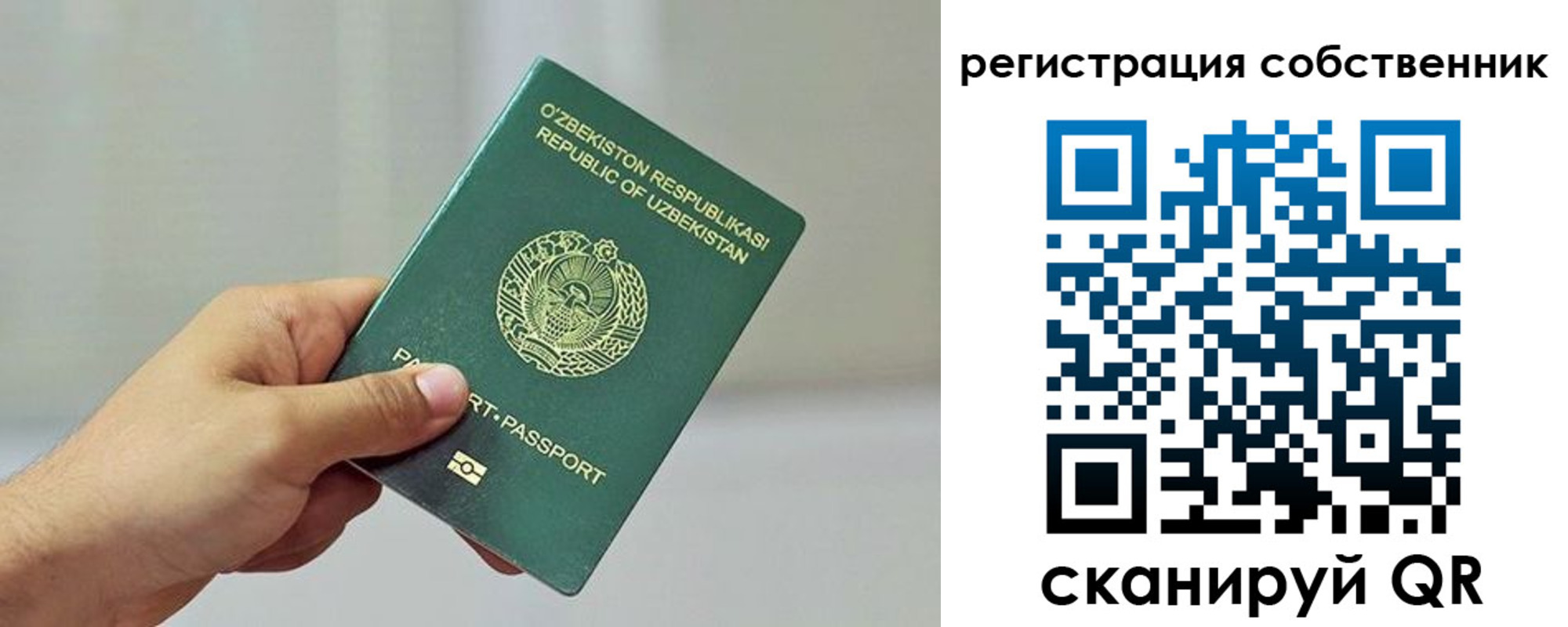 прописка поиск в Торжоке